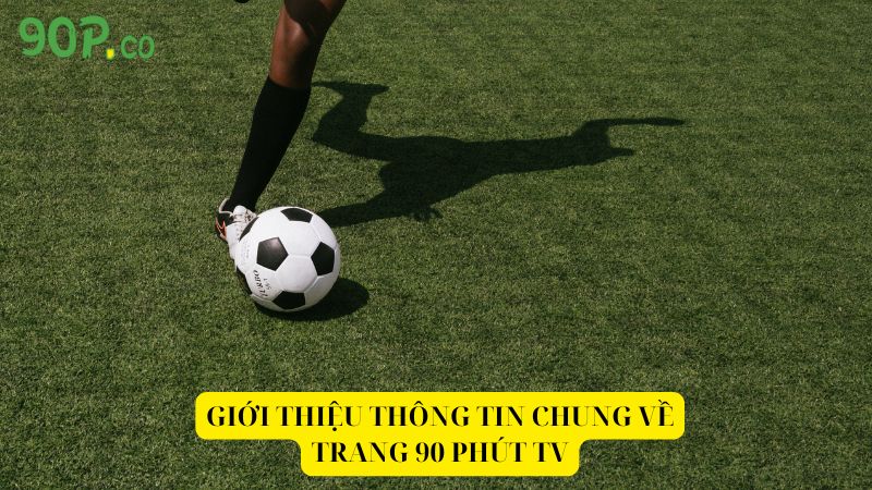 Gioi-thieu-thong-tin-chung-ve-trang-90-Phut-TV