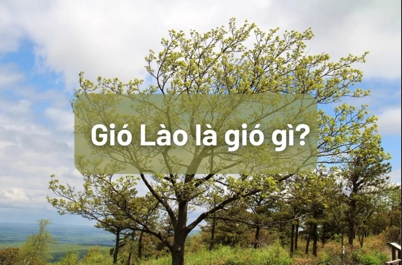 Gió Lào là loại gió khô nóng thổi từ phía tây sang phía đông, ảnh hưởng mạnh đến khu vực miền Trung. 