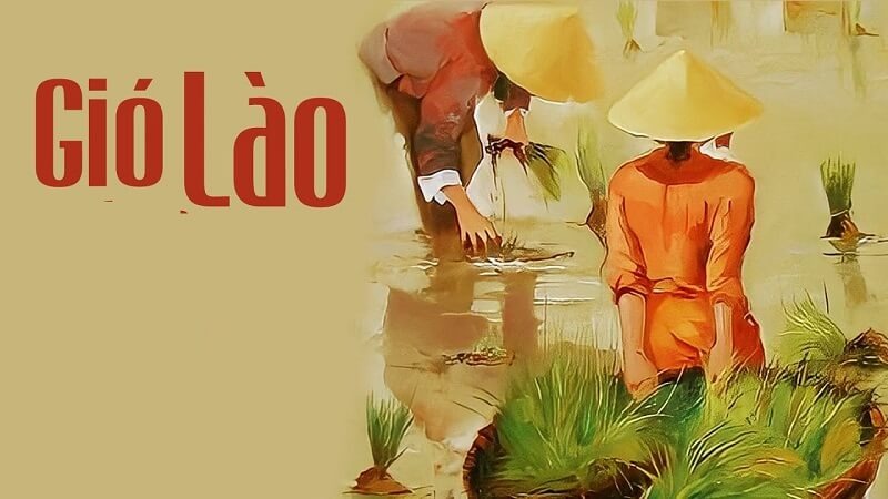 Làm việc lâu dưới gió Lào và nắng nóng có thể làm tăng nguy cơ mất nước, say nắng và kiệt sức. 