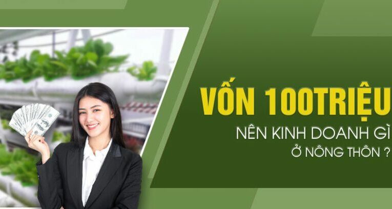 Với số vốn 100 triệu đồng, người kinh doanh nên chọn mô hình phù hợp nhu cầu địa phương, khả năng quản lý và mức độ rủi ro. 