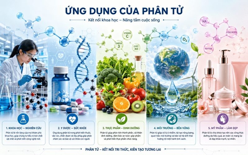 Nghiên cứu phân tử giúp con người phát triển y học, thực phẩm, mỹ phẩm, công nghệ và các giải pháp bảo vệ môi trường. 