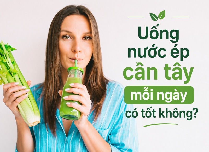 Uống nước ép cần tây mỗi ngày có thể phù hợp với người khỏe mạnh nếu dùng lượng vừa phải và không thay thế bữa ăn.