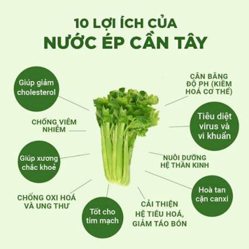Nước ép cần tây có thể bổ sung chất lỏng và một số vi chất nhưng không phải thức uống chữa bệnh.