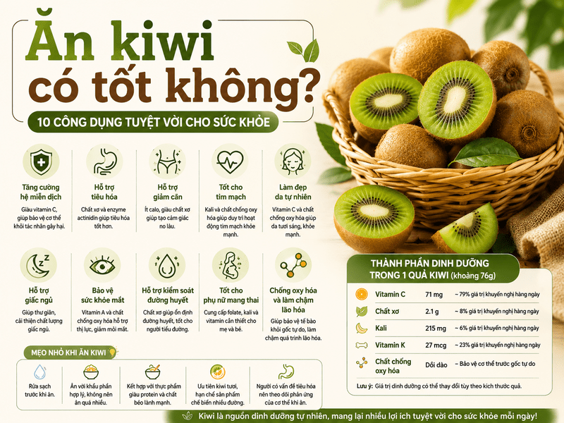 Kiwi cung cấp vitamin C, chất xơ, kali cùng nhiều hợp chất chống oxy hóa có giá trị trong chế độ ăn cân bằng. 